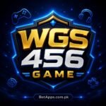 WGS456 Game