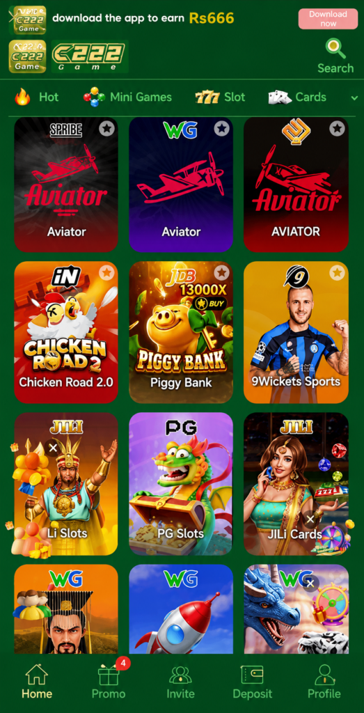C222 Game Image